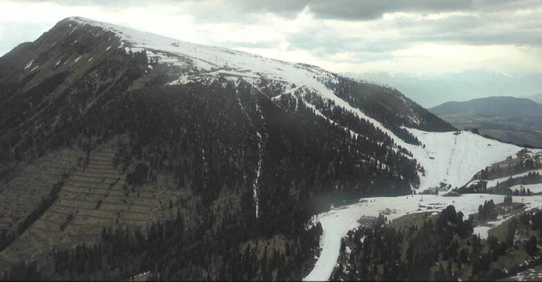 Webcam Pampeago  - Predazzo -  Obereggen - Pala Santa