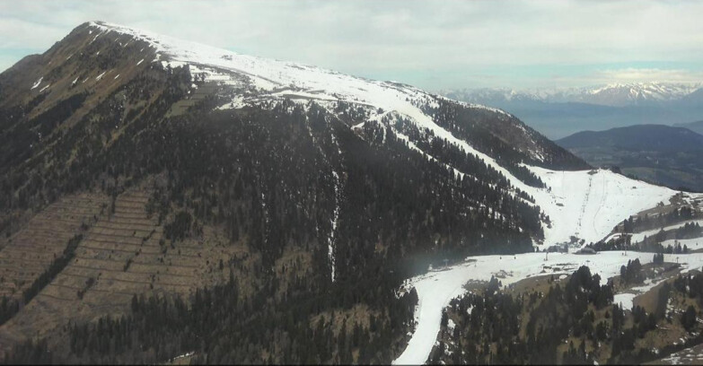 Webcam Pampeago  - Predazzo -  Obereggen - Pala Santa