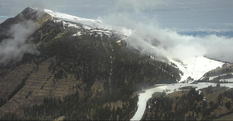 Webcam Pampeago  - Predazzo -  Obereggen - Pala Santa