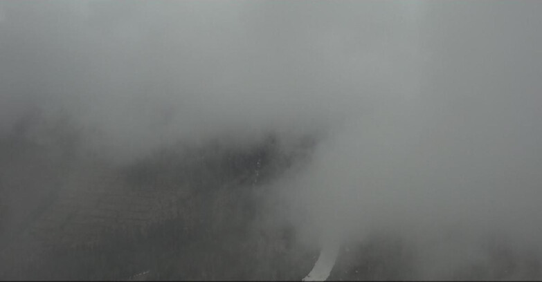 Webcam Pampeago  - Predazzo -  Obereggen - Pala Santa