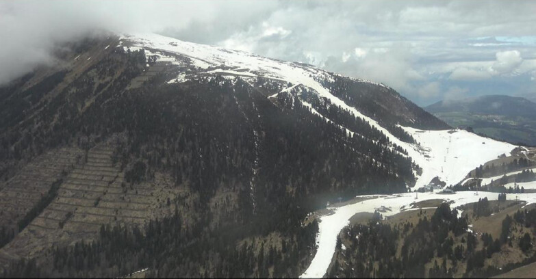 Webcam Pampeago  - Predazzo -  Obereggen - Pala Santa