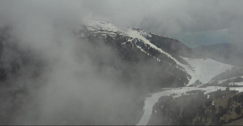 Webcam Pampeago  - Predazzo -  Obereggen - Pala Santa