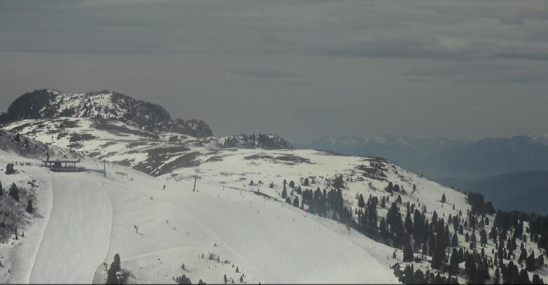 Webcam Pampeago  - Predazzo -  Obereggen - Chair lift Monte Agnello
