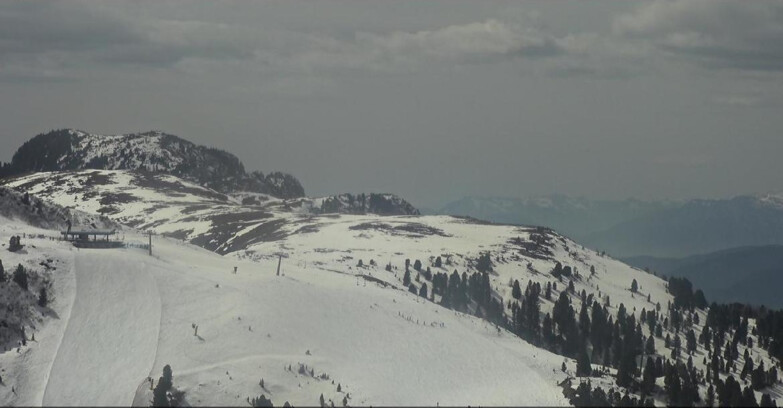 Webcam Pampeago  - Predazzo -  Obereggen - Chair lift Monte Agnello