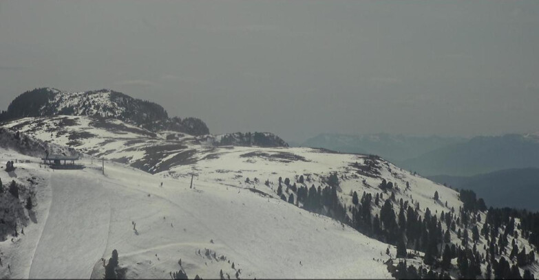 Webcam Pampeago  - Predazzo -  Obereggen - Chair lift Monte Agnello