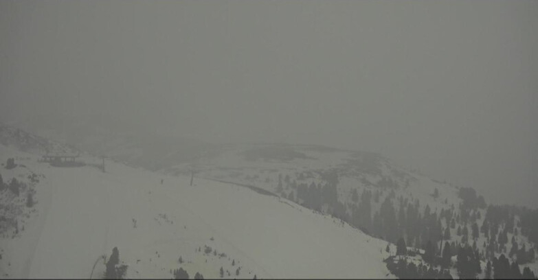 Webcam Pampeago  - Predazzo -  Obereggen - Chair lift Monte Agnello