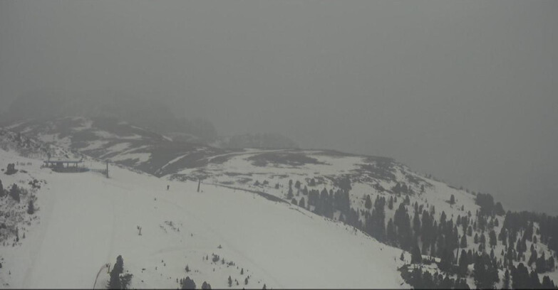 Webcam Pampeago  - Predazzo -  Obereggen - Chair lift Monte Agnello