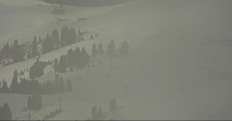 Webcam Pampeago  - Predazzo -  Obereggen - Mountain huts Zischg and Ganischger