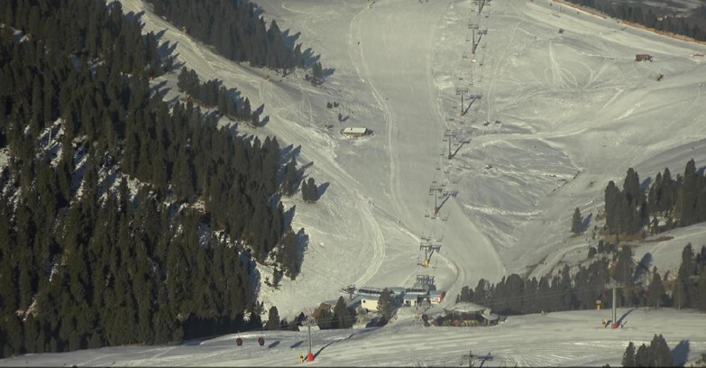 Webcam Pampeago  - Predazzo -  Obereggen - Seggiovia Obereggen