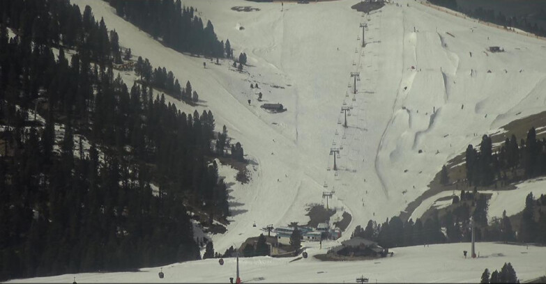 Webcam Pampeago  - Predazzo -  Obereggen - Seggiovia Obereggen