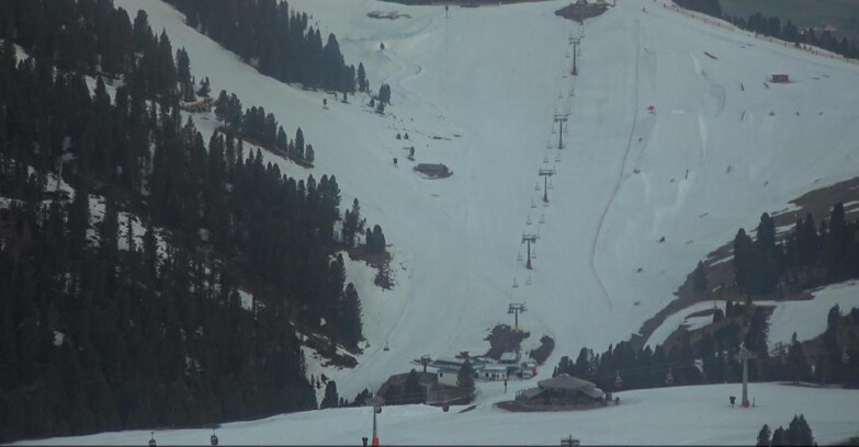 Webcam Pampeago  - Predazzo -  Obereggen - Seggiovia Obereggen