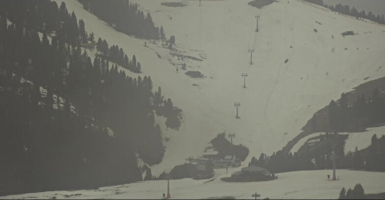 Webcam Pampeago  - Predazzo -  Obereggen - Seggiovia Obereggen