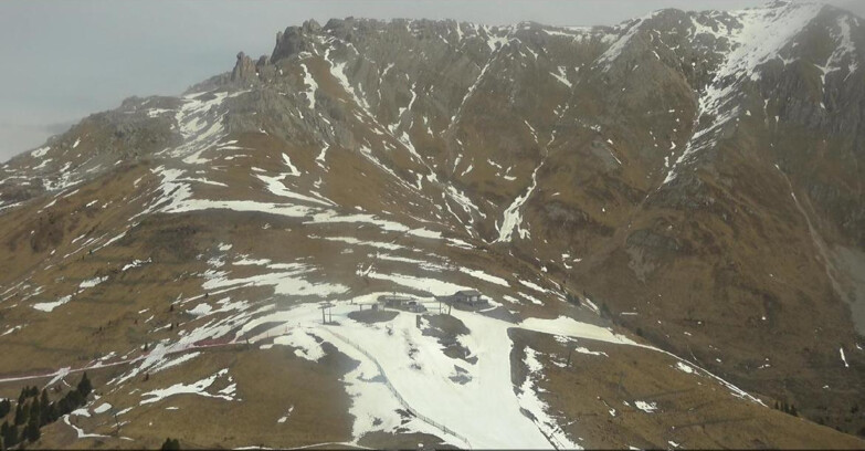 Webcam Pampeago  - Predazzo -  Obereggen - Passo Feudo Berghütte