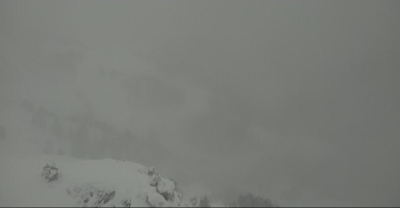 Webcam Pampeago  - Predazzo -  Obereggen - Agnello Slope