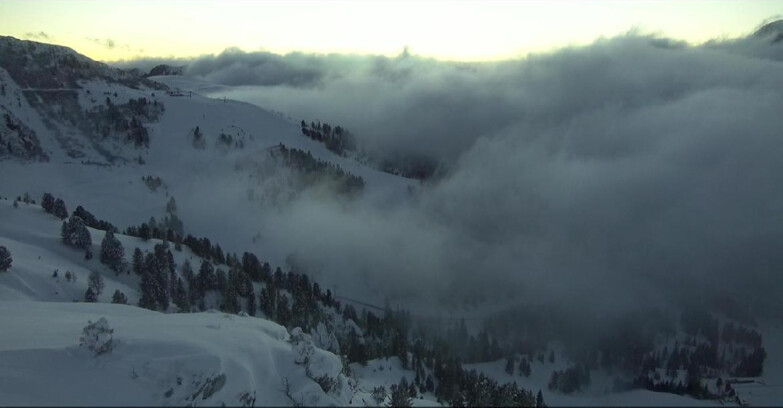 Webcam Pampeago  - Predazzo -  Obereggen - Pista Agnello