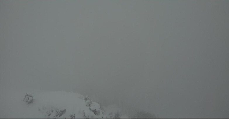 Webcam Pampeago  - Predazzo -  Obereggen - Piste Agnello