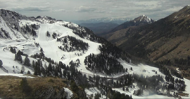 Webcam Pampeago  - Predazzo -  Obereggen - Piste Agnello