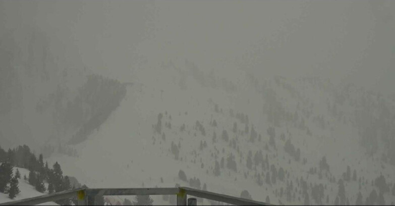 Webcam Alpe Cermis  - Prà Fiorì Val di Fiemme