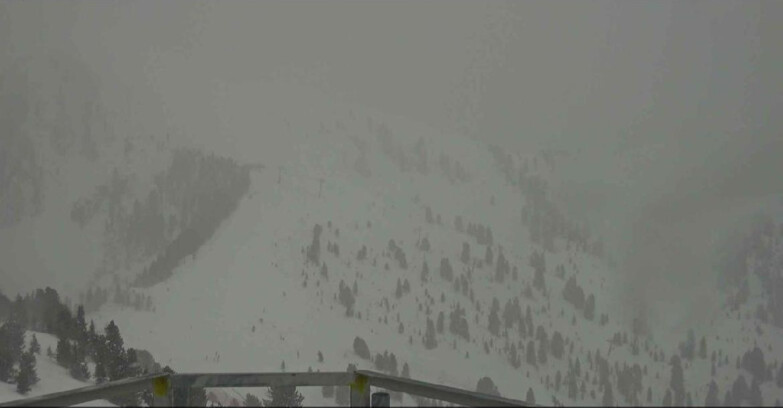 Webcam Alpe Cermis  - Prà Fiorì Val di Fiemme