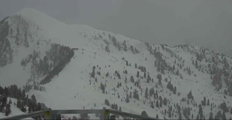 Webcam Alpe Cermis  - Prà Fiorì Val di Fiemme