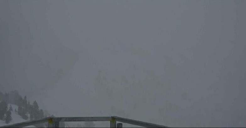 Webcam Alpe Cermis  - Prà Fiorì Val di Fiemme