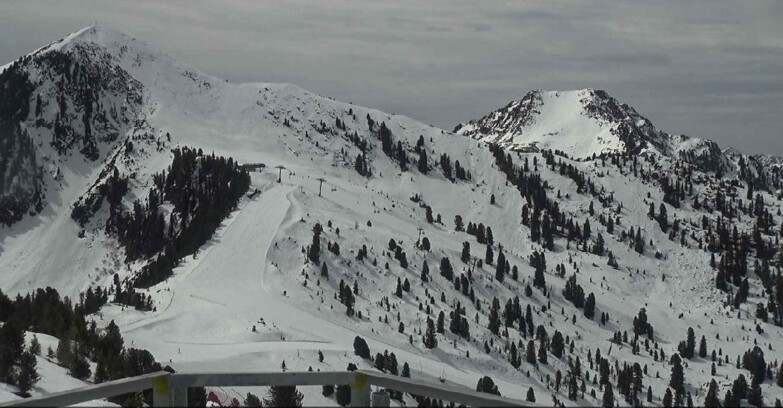 Webcam Alpe Cermis  - Prà Fiorì Val di Fiemme