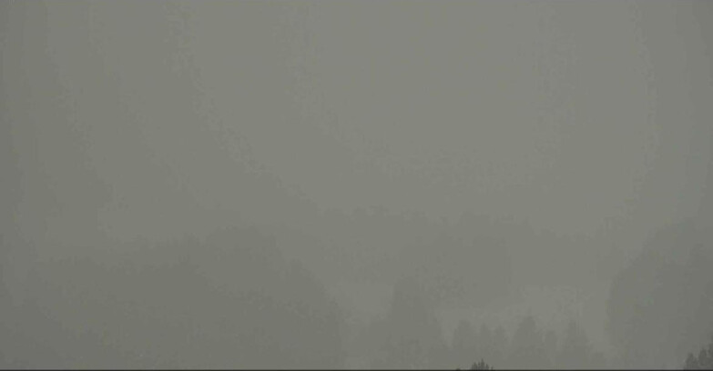 Webcam Alpe Cermis  - Seggiovia Lagorai