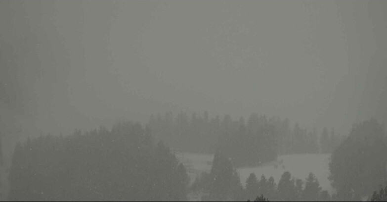 Webcam Alpe Cermis  - Seggiovia Lagorai