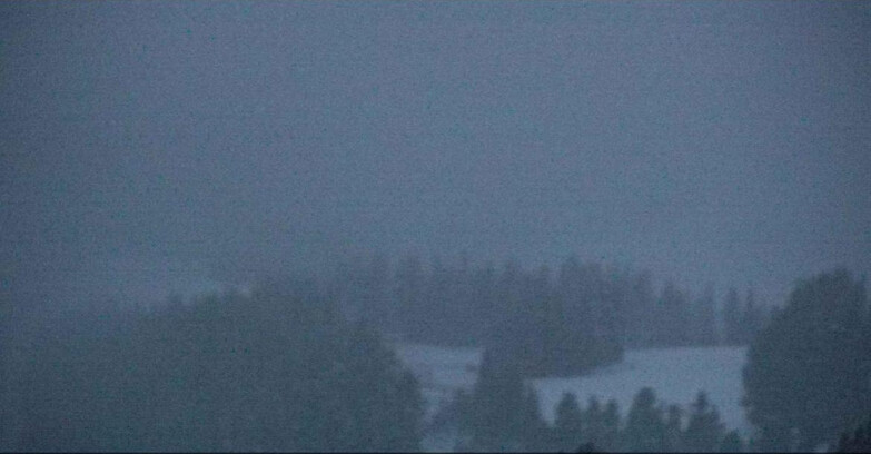 Webcam Alpe-Cermis - Seggiovia Costabella