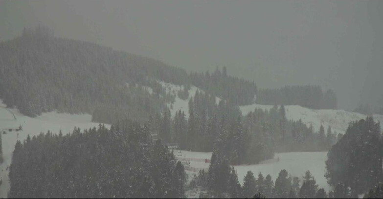 Webcam Alpe-Cermis - Seggiovia Costabella