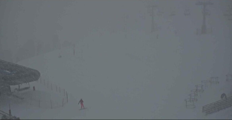 Webcam Alpe Cermis  - Chairlift and slope Lagorai