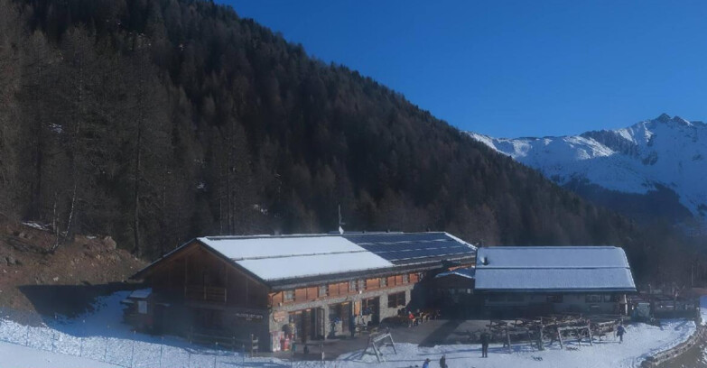 Webcam Pejo 3000 - Scoiattolo Berghütte