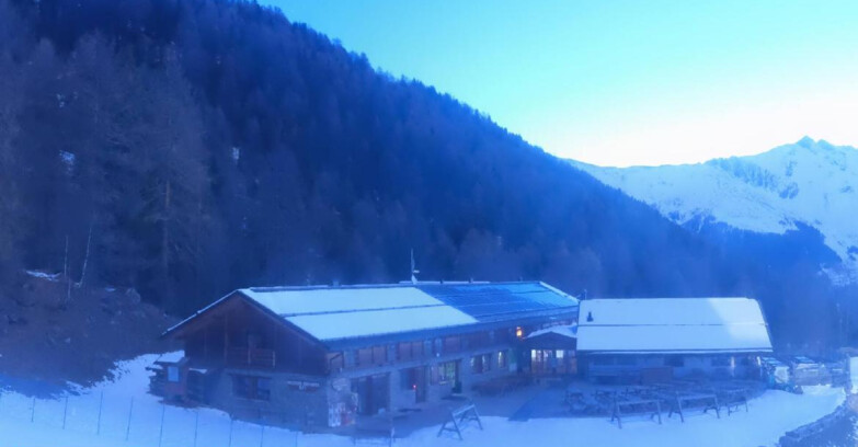 Webcam Pejo 3000 - Scoiattolo Berghütte