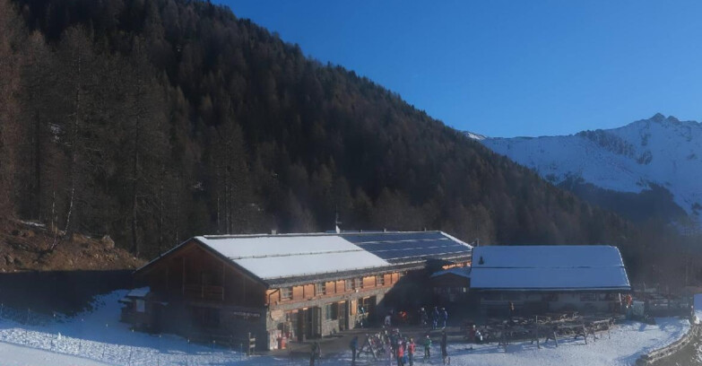 Webcam Pejo 3000 - Scoiattolo Berghütte