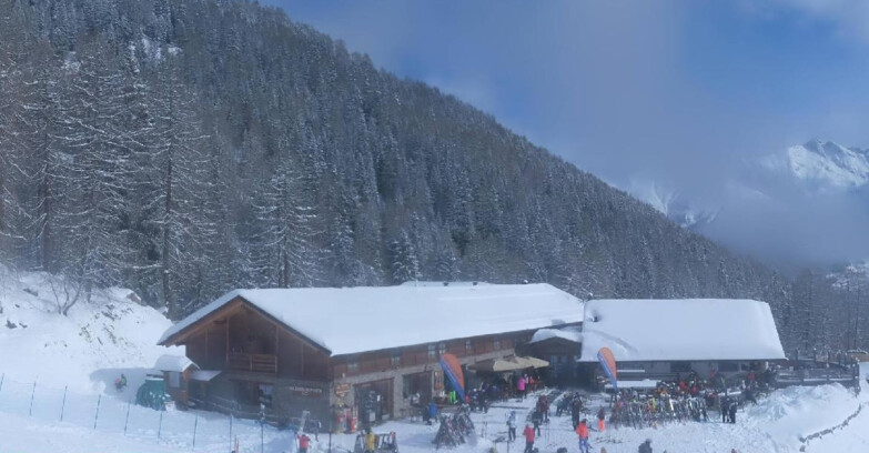 Webcam Pejo 3000 - Scoiattolo Berghütte