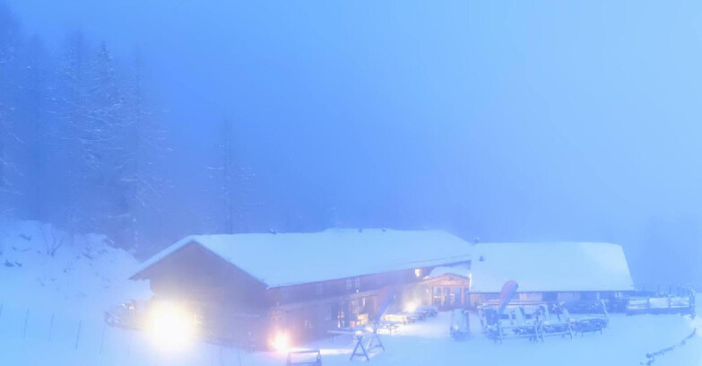 Webcam Pejo 3000 - Scoiattolo Berghütte