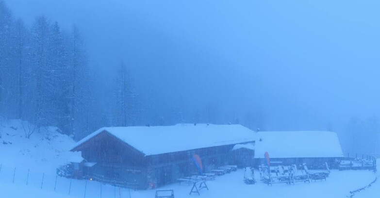 Webcam Pejo 3000 - Scoiattolo Berghütte