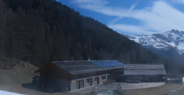 Webcam Pejo 3000 - Scoiattolo Berghütte