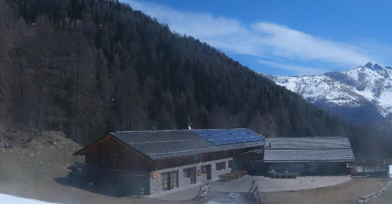 Webcam Pejo 3000 - Scoiattolo Berghütte