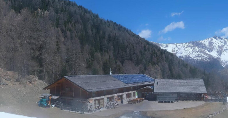 Webcam Pejo 3000 - Scoiattolo Berghütte