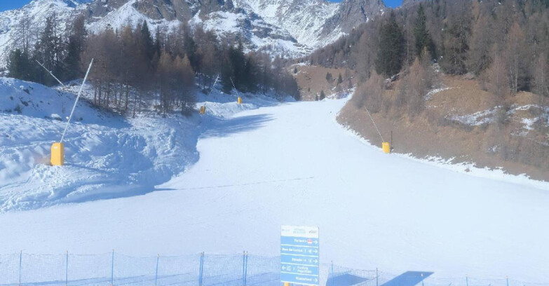 Webcam Pejo 3000 - Scoiattolo Skischule