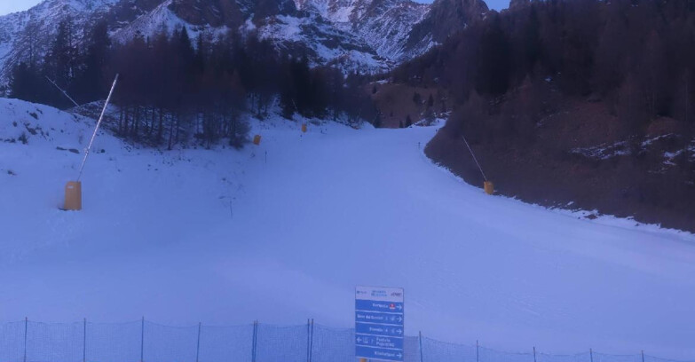 Webcam Pejo 3000 - Scoiattolo Ski School