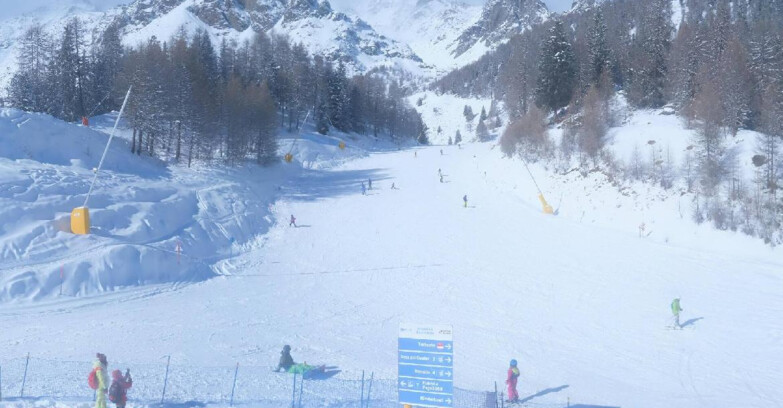 Webcam Пейо 3000 - Scoiattolo Ski School