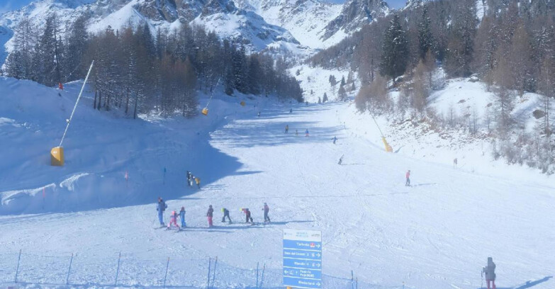 Webcam Пейо 3000 - Scoiattolo Ski School