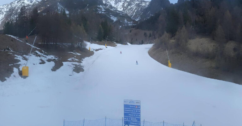 Webcam Pejo 3000 - Scoiattolo Ski School