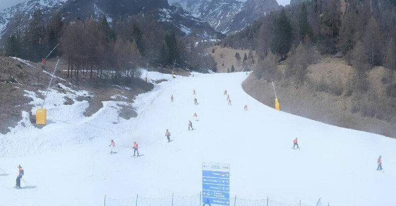 Webcam Pejo 3000 - Scoiattolo Ski School
