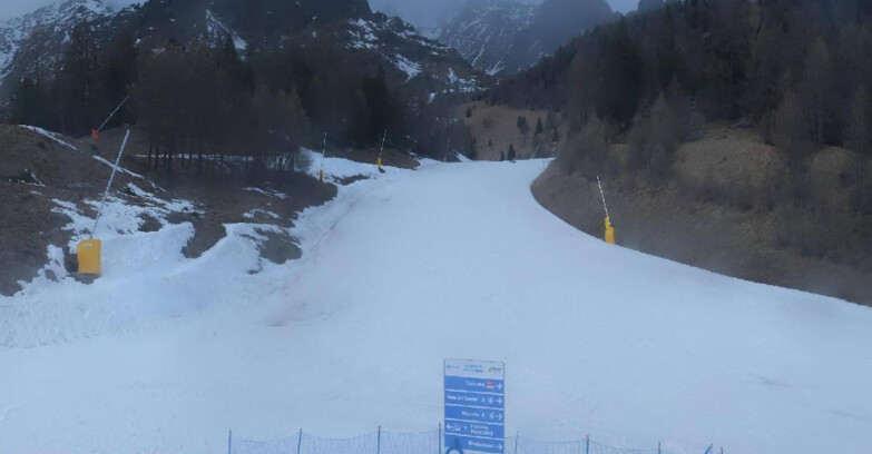 Webcam Pejo 3000 - Scoiattolo Ski School