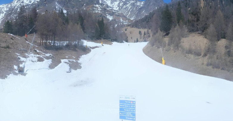 Webcam Pejo 3000 - Scoiattolo Ski School