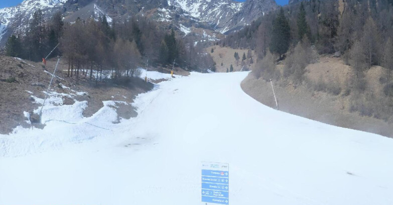 Webcam Pejo 3000 - Scoiattolo Ski School