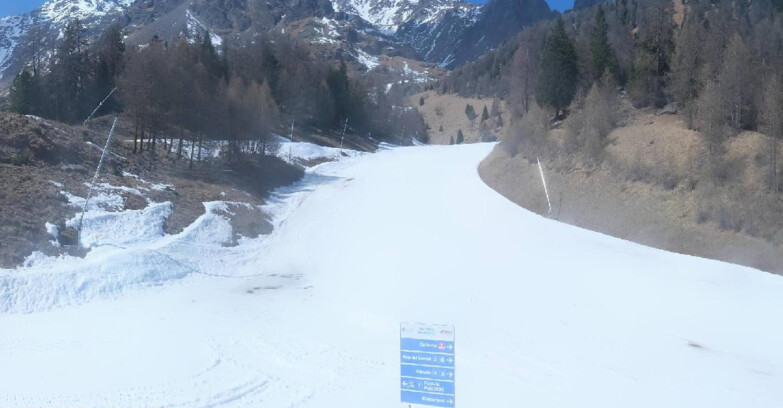 Webcam Pejo 3000 - Scoiattolo Ski School